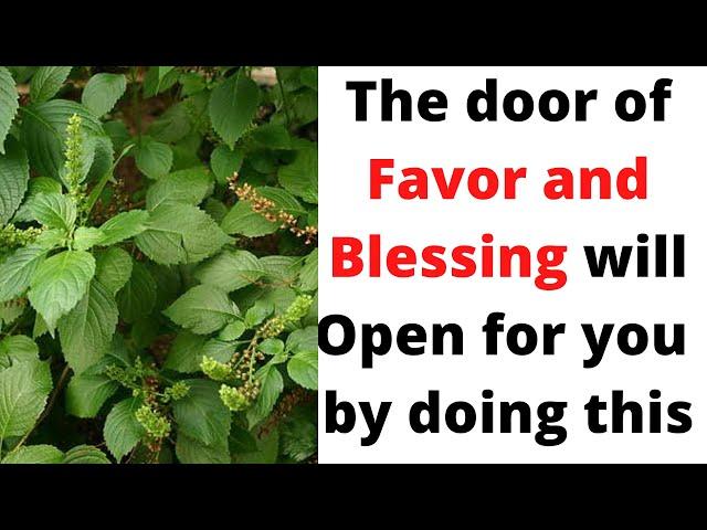 Door of Favor and Blessing will Open for you by doing this