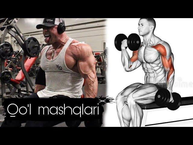 Biceps mashqlari | gantel bilan qo'lga ishlash | mashqlar