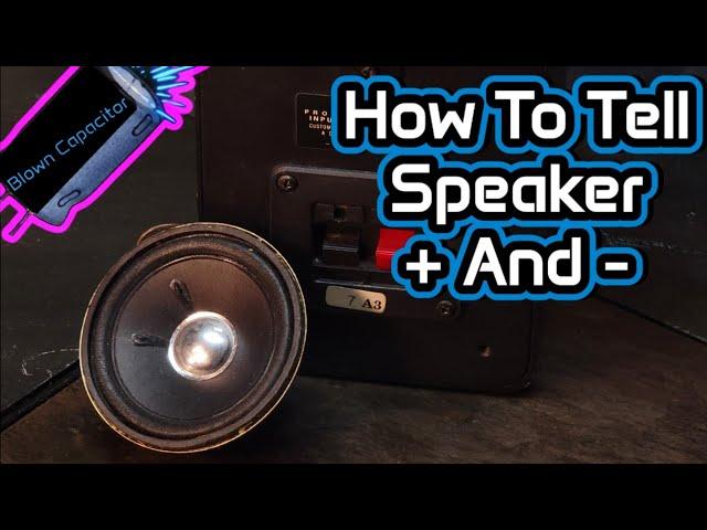 How To Connect Speakers