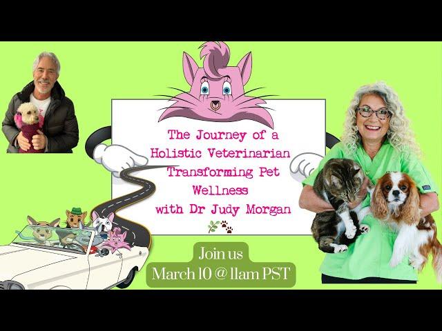 Join us in Meeting Dr. Judy Morgan: A Holistic Veterinarian Transforming Pet Wellness 