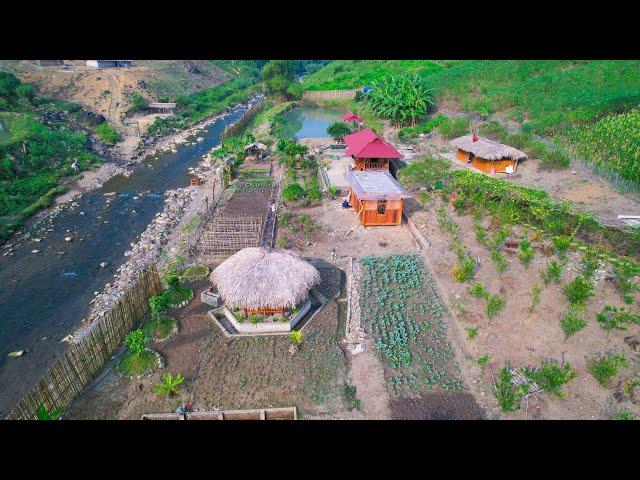 4 YEARS Living Off the Grid! Use all land to build clean Vegetable Farms and Aquaculture