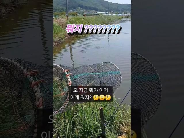 이거 뭐지? 왜 이렇게 생각이안나지? ㅎㅎㅎ  결국  #통발 #통발낚시 #통발미끼 #민물낚시 #시걸 #저수지낚시 #수로낚시 #시골 #자연 #강화도낚시터
