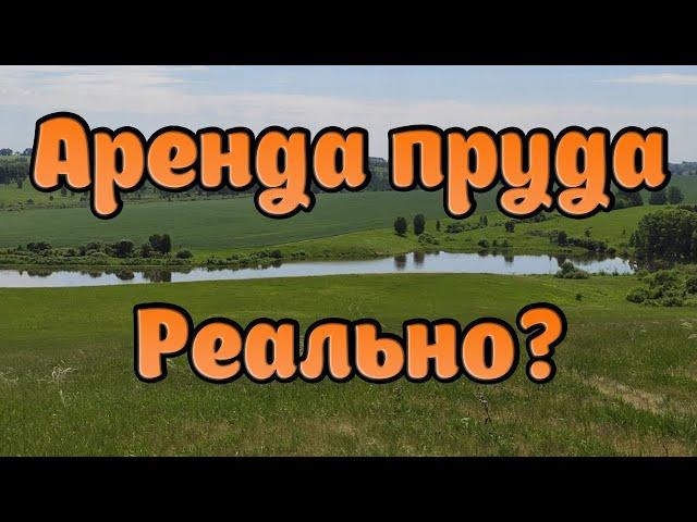 01 | Проект Аренда пруда | Начало | Наши мысли, планы