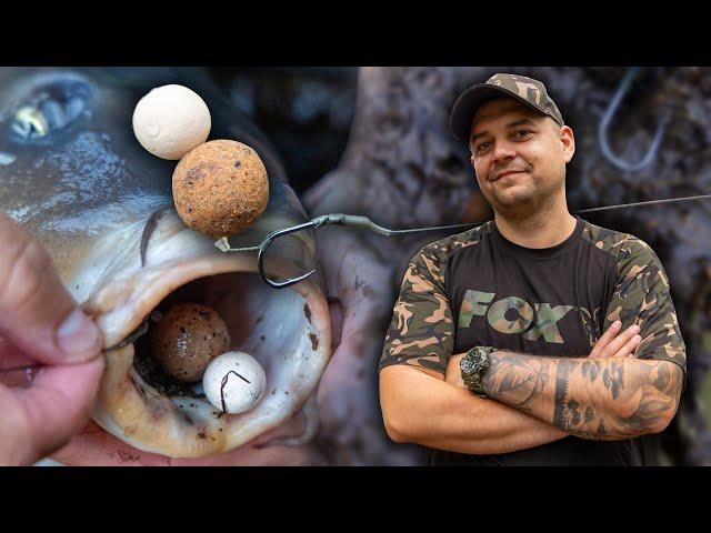 Przypon Blow Back Rig Jakobka na MULISTE DNO | Fox Carp fishing