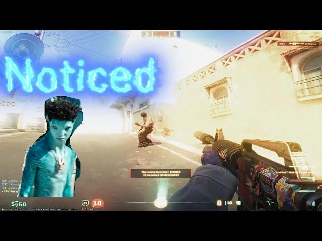 Noticed (Cs2 Montage)