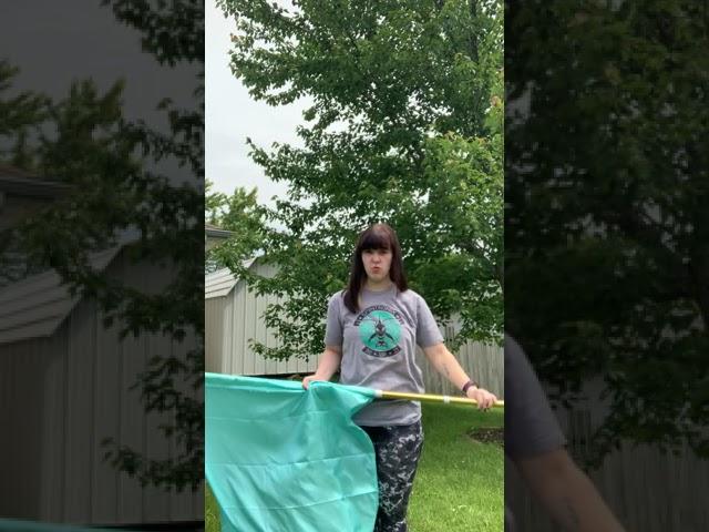 Single Tosses on Flag - Spintronix Shorts