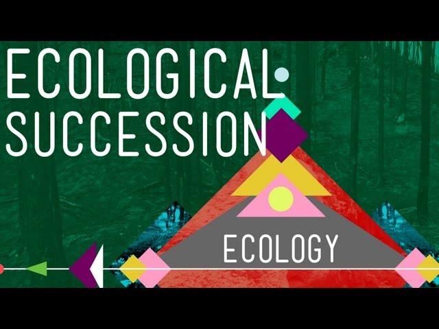 Ecological Succession: Change is Good - Crash Course Ecology #6