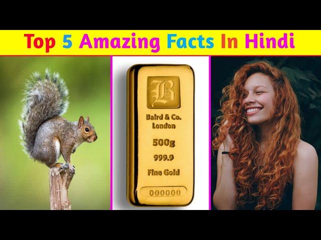 Top 5 Amazing Facts In Hindi | Mind Blowing Facts | Random Facts | Facts In Hindi | #shorts