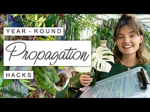 Fast Propagation All Year Round + Plants I'm Propagating This Winter 