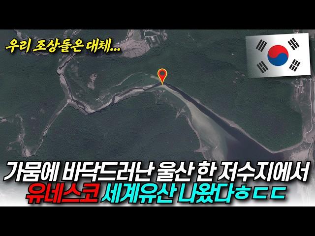 가뭄에 물 빠진 울산의 한 저수지, 그 아래서 7천년전 비밀 쏟아져 “유네스코 세계유산 등재 확실시” / 디씨멘터리