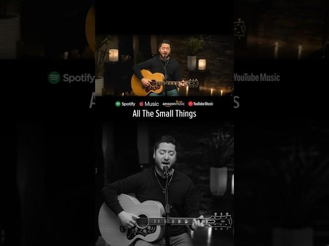 All The Small Things (Wedding Version) - Blink-182 (Boyce Avenue acoustic cover) #shorts #ballad