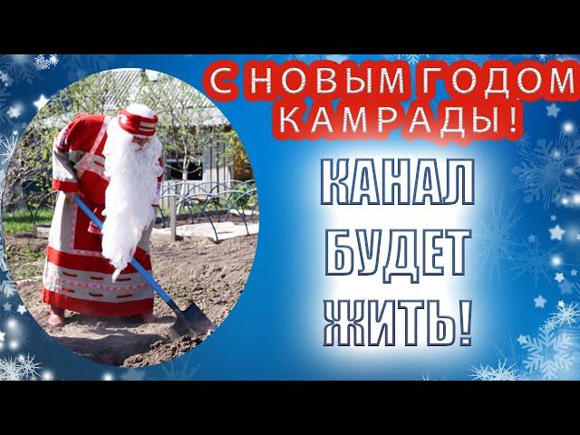 С Новым Годом, друзья! И немного о планах канала "Записки кладоискателя N-ской губернии"