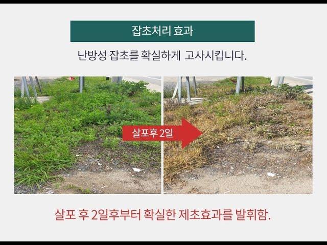 친환경제초제 풀아웃 초전박살 산소,정원,보도블럭,공원녹지 등 모든 잡초제거에 효과적입니다.