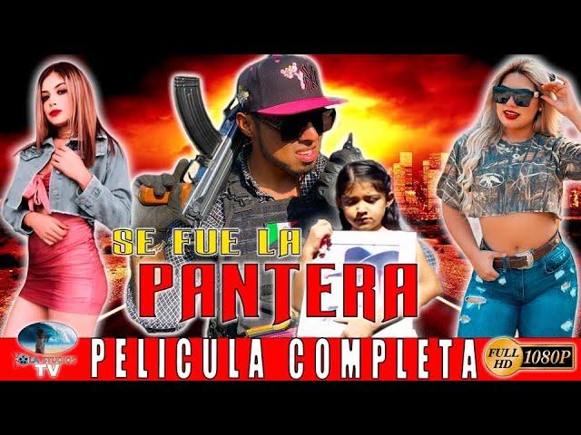   SE FUE LA PANTERA - PELICULA COMPLETA NARCOS | Ola Studios TV 