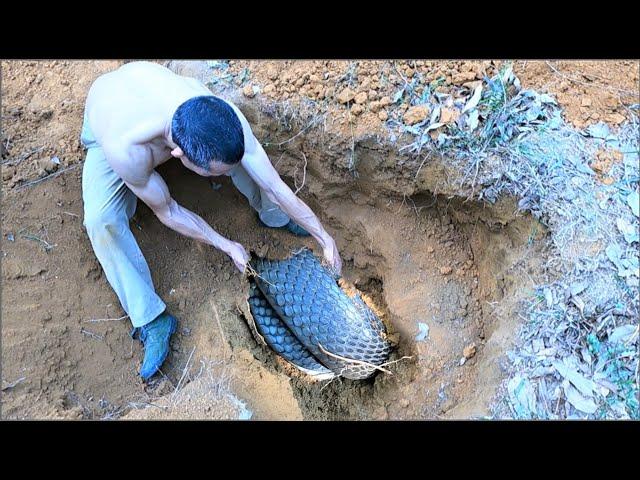 Suffocation. Close-up of two brave men wrestling with a herd of giant king cobras in a dirt cave.