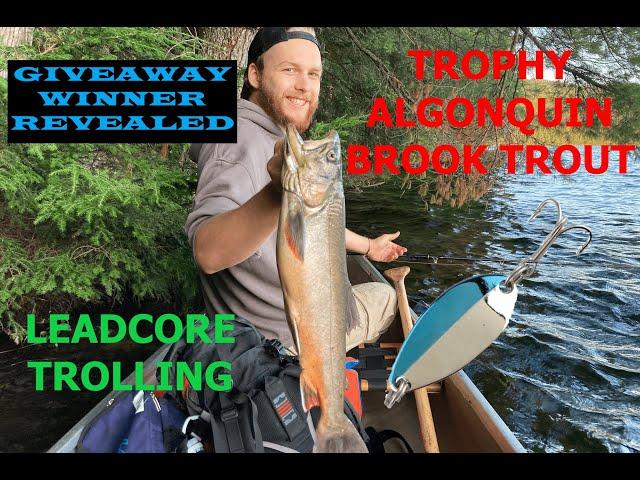 HUGE TROPHY BROOK TROUT - Algonquin Park Fishing - GIVEAWAY WINNER Announced