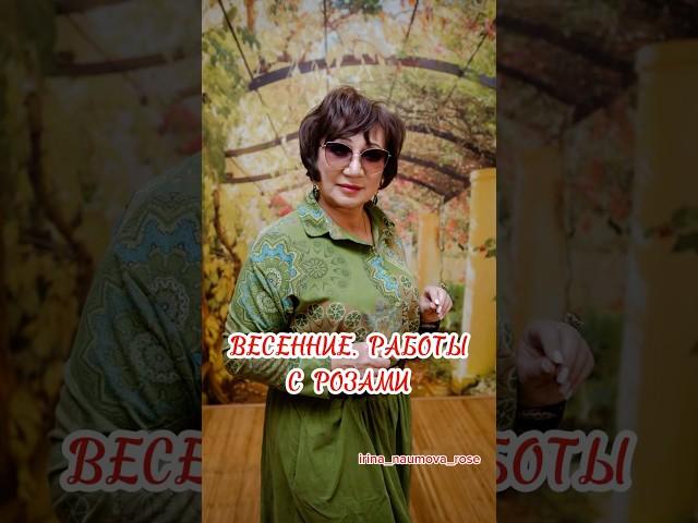 ВЕСЕННИЕ РАБОТЫ В САДУ. #иринанаумова #розыиринынаумовой #розывсаду #весенниеработы  #розы #rose