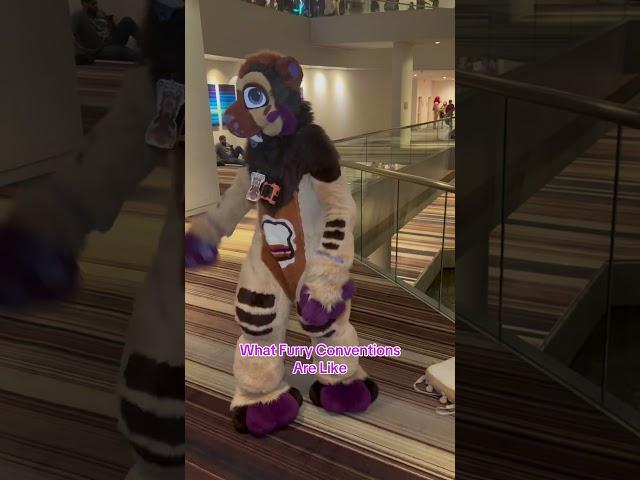Best experience ever #furry #fursuit #cosplay #costume