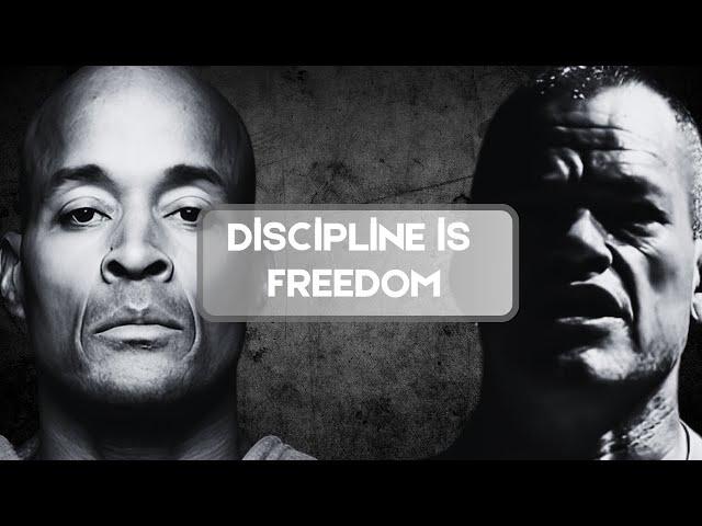 Discipline Is KEY to Success : Jocko Willink's and David Goggins Motivation