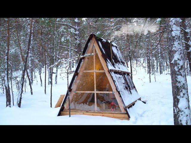 10 Days of Solitude in the Forest: Wintering in a Cabin From December to March