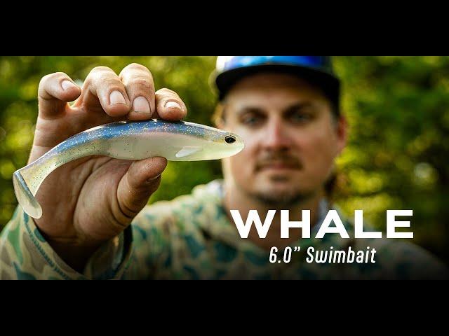 The ALL-NEW Whale 6.0 Swimbait is HERE!