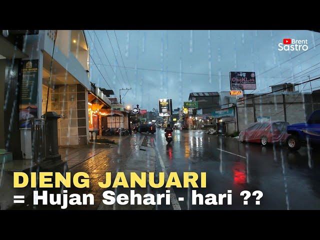 DIENG BULAN JANUARI, HUJAN SEHARI - HARI ??