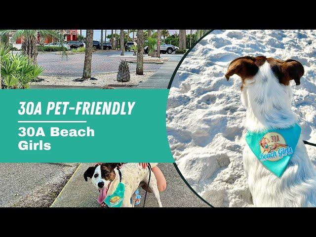 30A Pet-Friendly Rentals with 30A Beach Girls