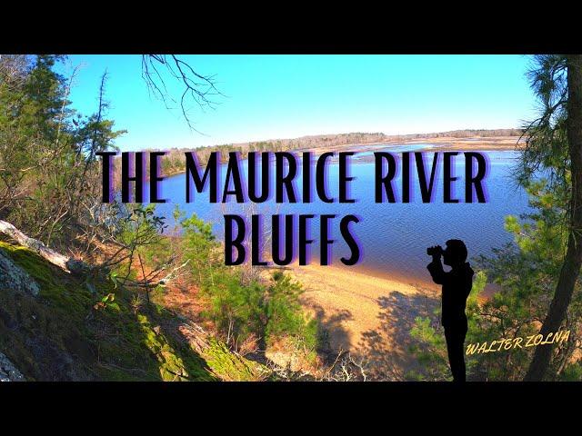 Maurice River Bluffs - Overlooks in Southern Jersey?