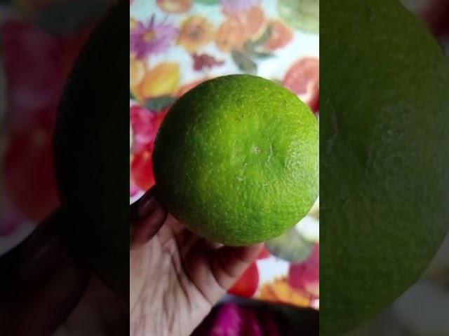 misty'svlog#shortsvideo#weight loss#stay fit# whole day daibetic diet plan#dailylifestyle #nutrition