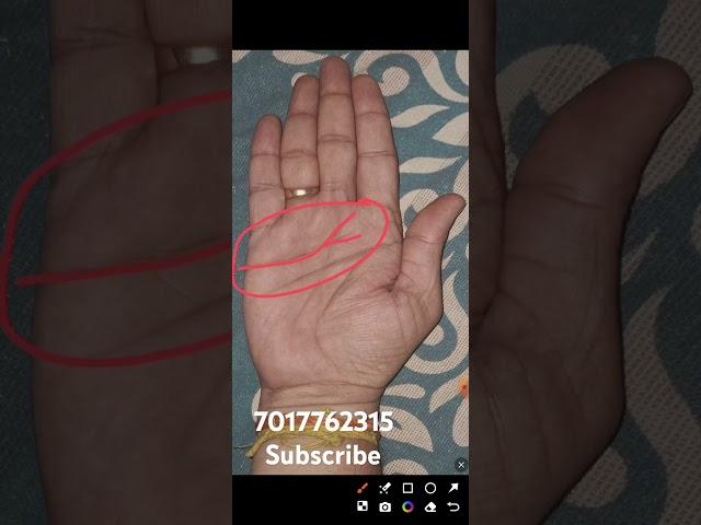 Vishnu tilak symbol on palm//@dikkipalmistry //@palmist Bhardwaj