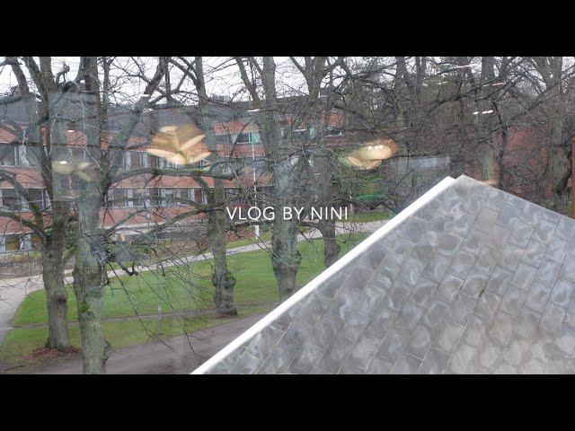 Study vlog  Daily life of a Chemical Engineering student , Assignments, Aalto University, Finland