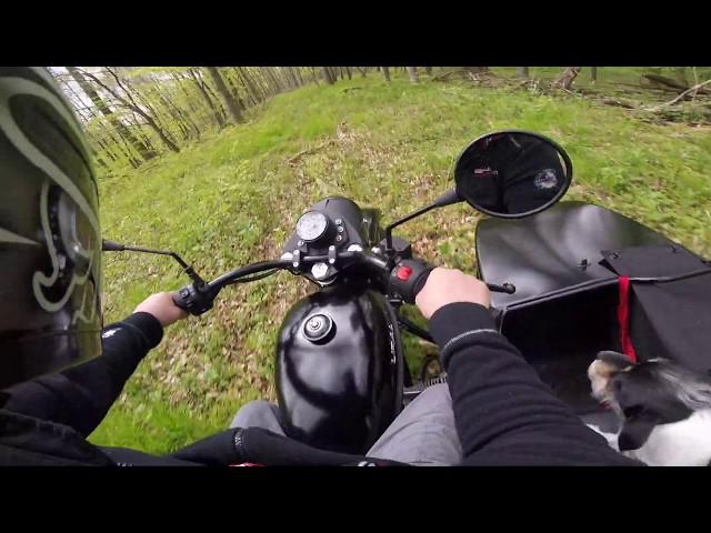 Ural Gespann | Durch den Wald | Ural sidecar | russengespann | gespannfahren |