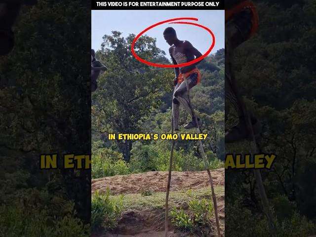 Walking on Stilts to Live  (@omovalleytribes)