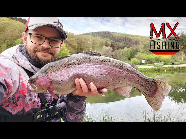 Ein Tag am Premiumteich/ Harter Start, super Ende/ Forellen fischen mit Kunstködern/ Trout Area