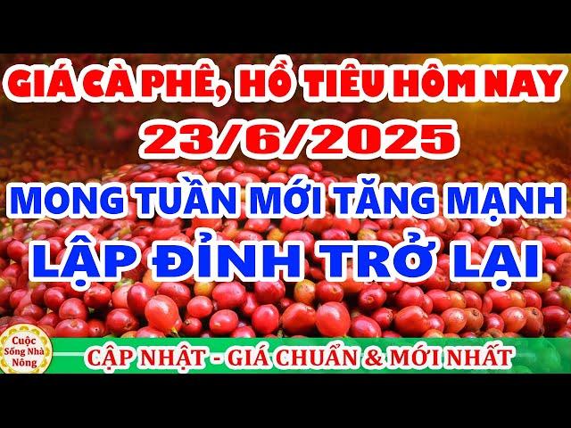 Giá cà phê hôm nay ngày 23/6/2025 | giá cà phê mong tuần mới TĂNG MẠNH LẬP ĐỈNH
