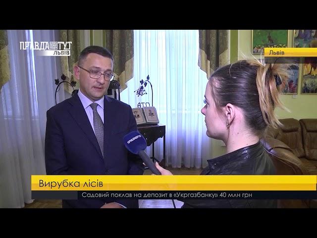 Вирубка лісів. ПравдаТУТ Львів