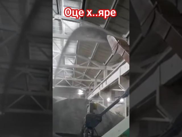 Зернопогрузчик, зернометач #2птс4 #agriculture #птс #агро #зернометатель #фермер
