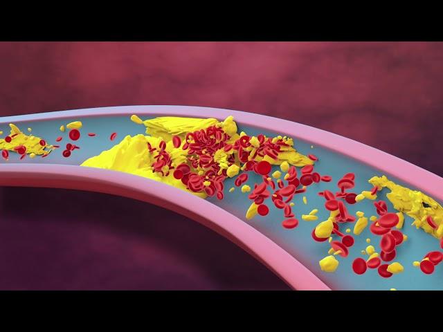 JAMIESON OMEGA 3-6-9