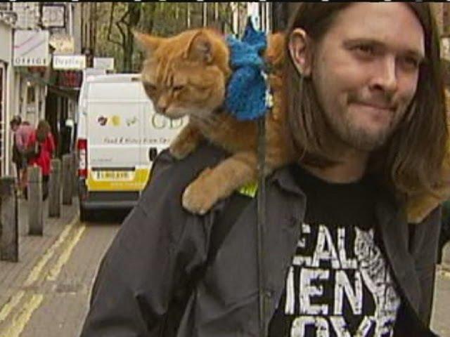 Bob the London busker cat heads to Hollywood