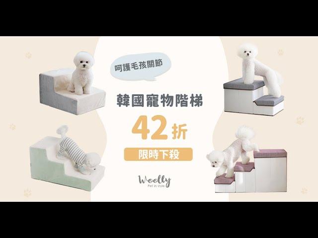 呵護毛孩關節【Woolly 韓系寵物樓梯】安全跑跳不受傷