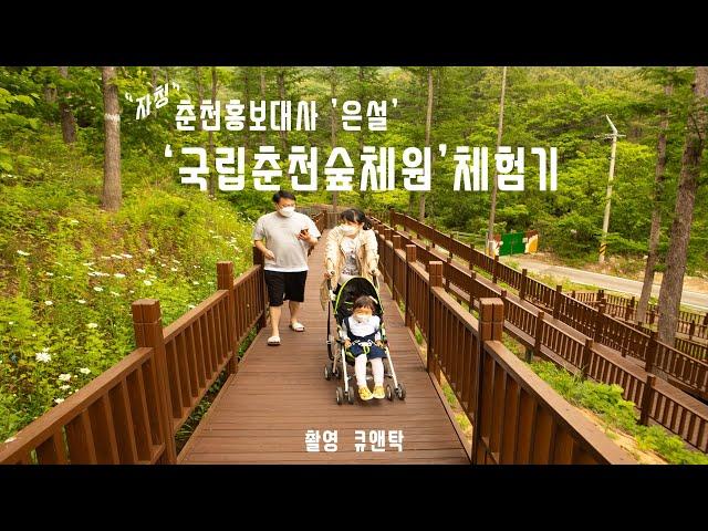 국립춘천숲체원 체험기(아이들은 신나고 어른들은 힐링)(music:bensound)