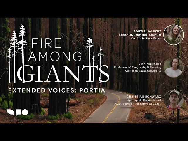 Fire Among Giants: Extended Voices Podcast — Portia Halbert
