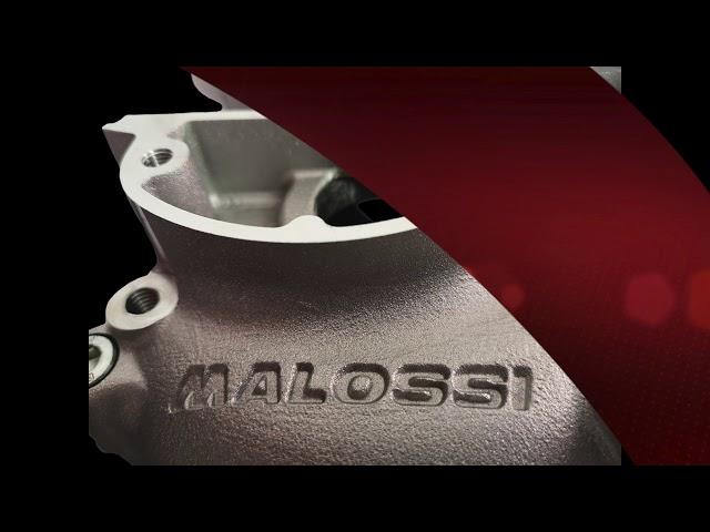 Malossi PX200 + PX125/150 Crankcases