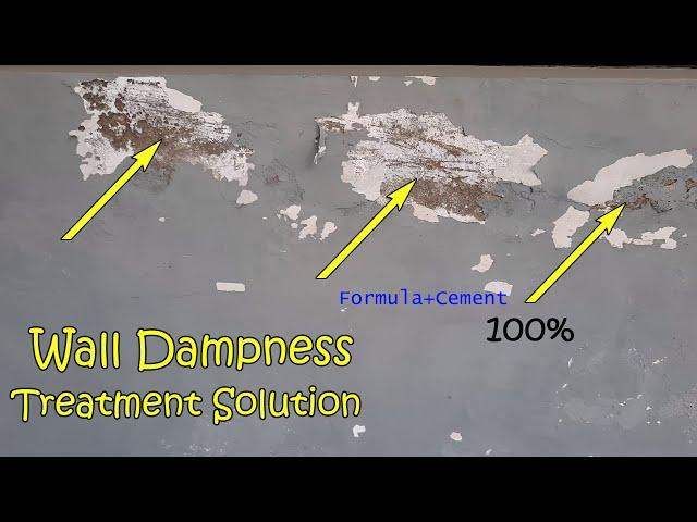 Wall Dampness Treatment with 100% Solution by Civil Engineers