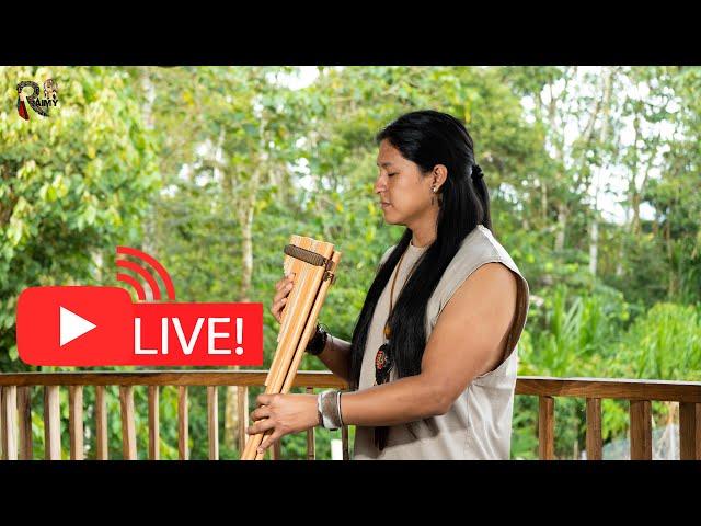 Native Flutes in Live from Nature