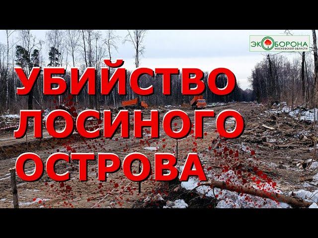 Просека через Лосиный остров - убийство леса