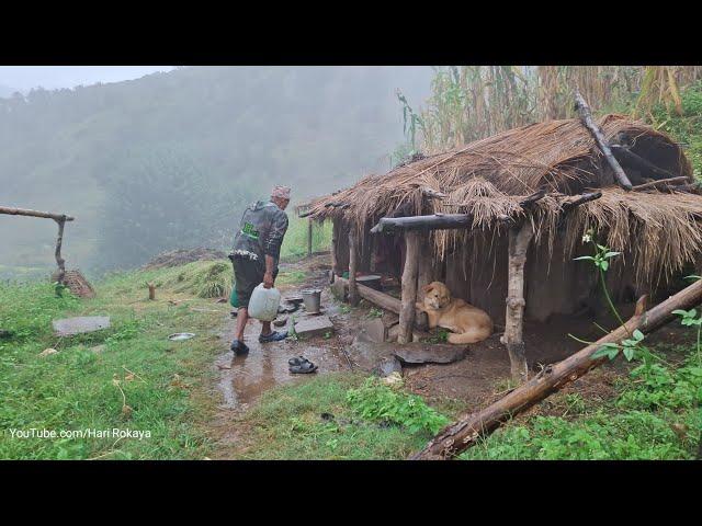 Most Peaceful Nepali Mountain Village Life | Daily Activities of Hari Rokaya Village People | Rainy