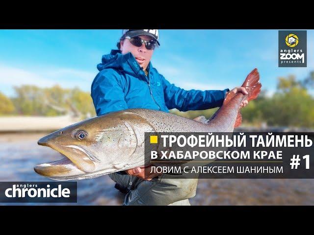 Трофейный таймень в Хабаровском крае. Ловим с Алексеем Шаниным. Часть 1. Anglers Chronicle