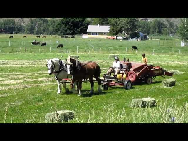 Baling Hay with Horses