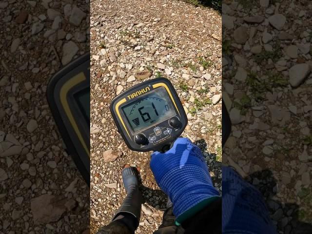 River Treasure HuntingDiscovered Alluvial Gold Nugget #metaldetecting #viralshorts #goldrush